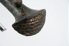 Foto von Bronzeortband (NHMW-PRAE-025481)